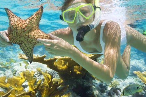 Diver Diving Coral